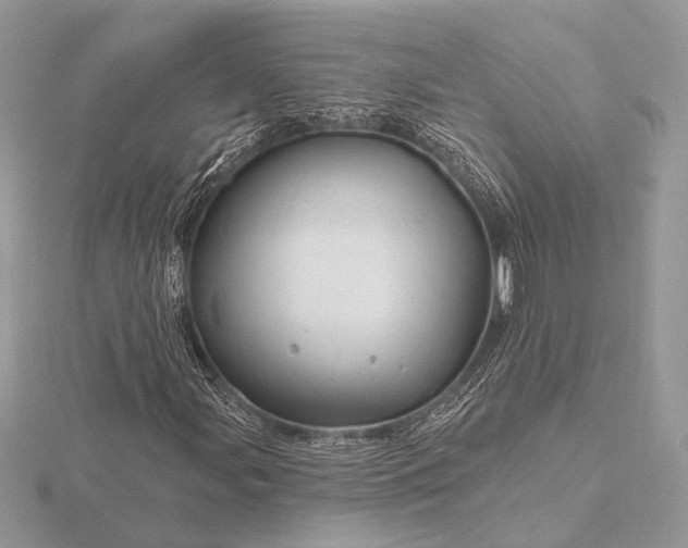 X0000116281107200912141343