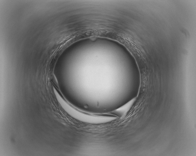 X0000116281109200912141343