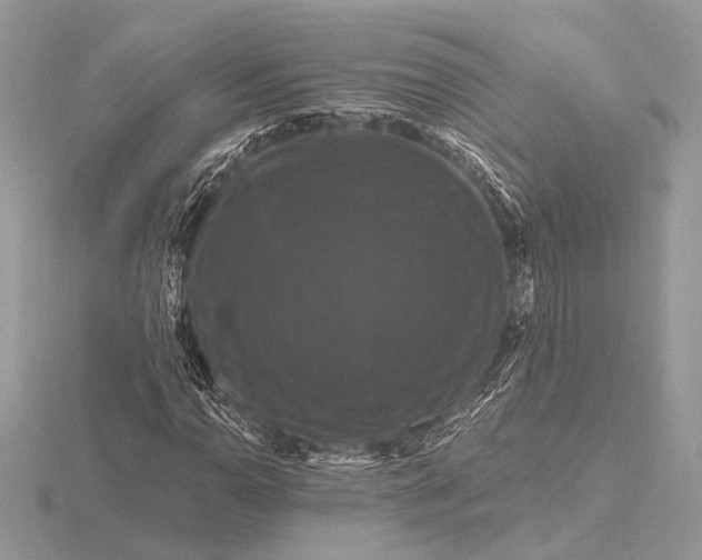 X0000116281110200912141343