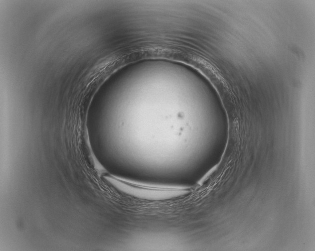 X0000116281111200912141343