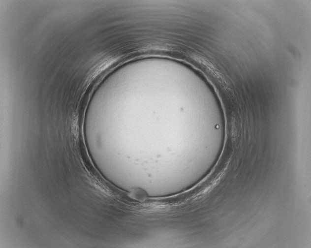 X0000116281113200912141343