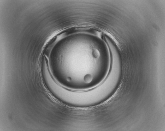 X0000116281114200912141343