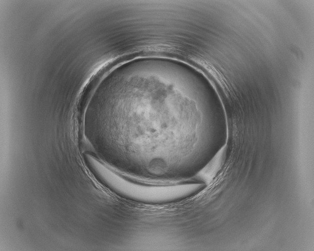 X0000116281115200912141343