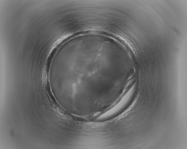 X0000116281117200912141343