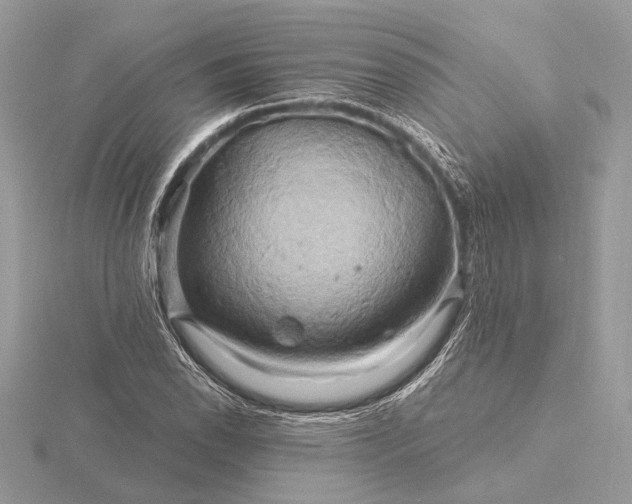 X0000116281118200912141343