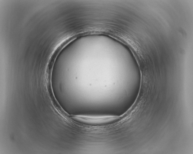 X0000116281119200912141343