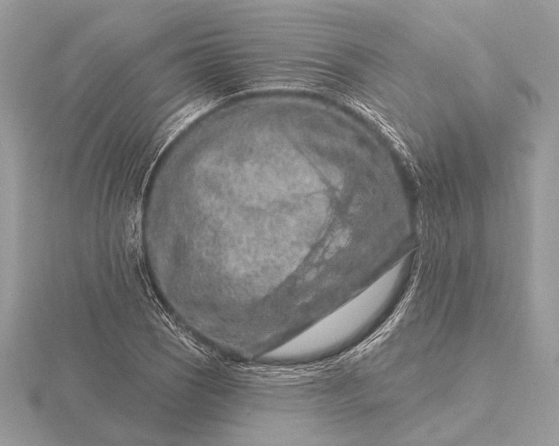 X0000116281121200912141343