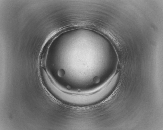 X0000116281122200912141343