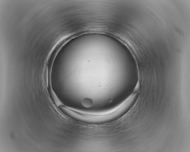 X0000116281123200912141343