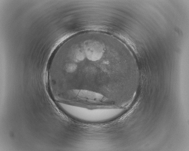 X0000116281125200912141343