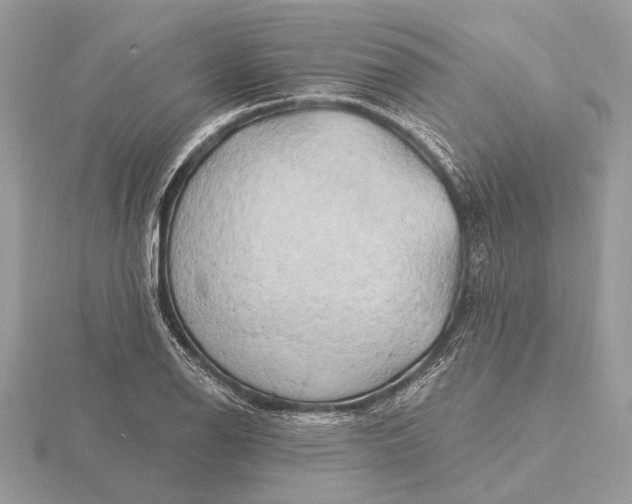 X0000116281126200912141343