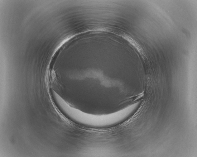 X0000116281127200912141343