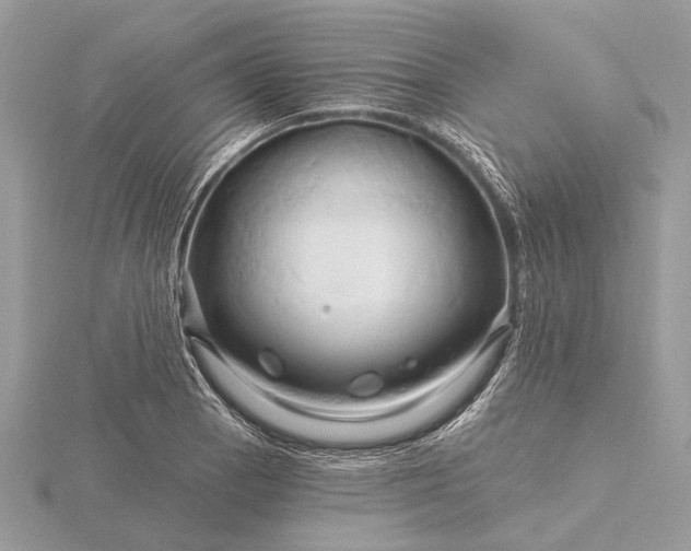 X0000116281129200912141343