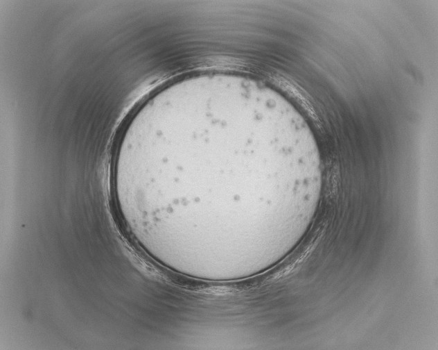 X0000116281130200912141343