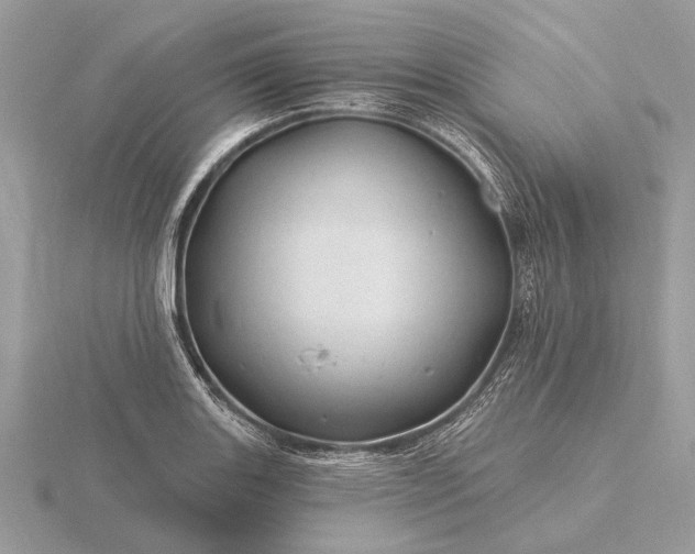 X0000116281131200912141343