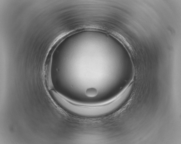 X0000116281133200912141343