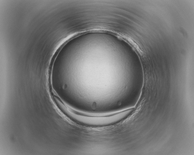 X0000116281134200912141343