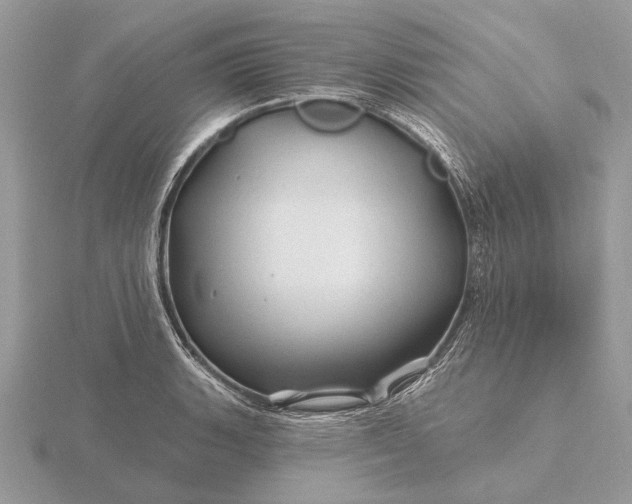 X0000116281135200912141343