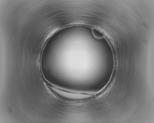 X0000116281137200912141343