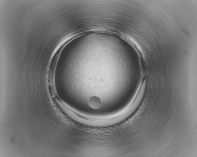 X0000116281138200912141343