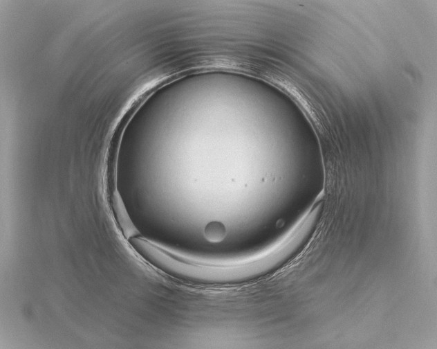 X0000116281139200912141343