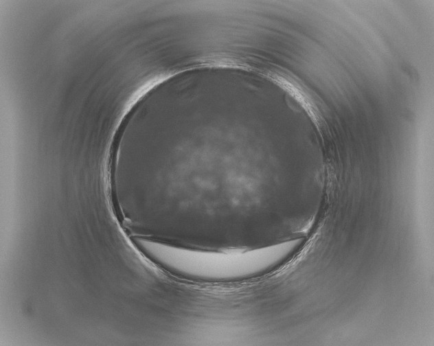 X0000116281141200912141343