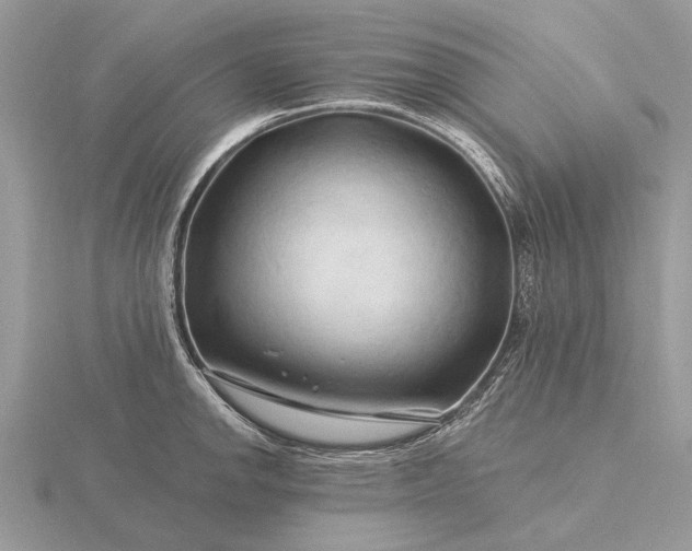 X0000116281142200912141343