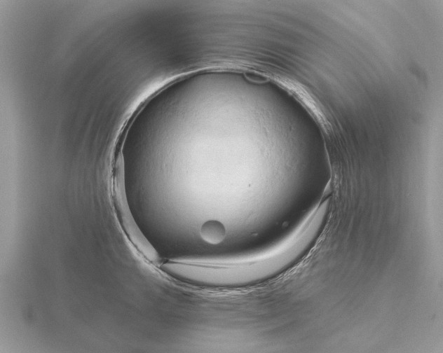 X0000116281143200912141343