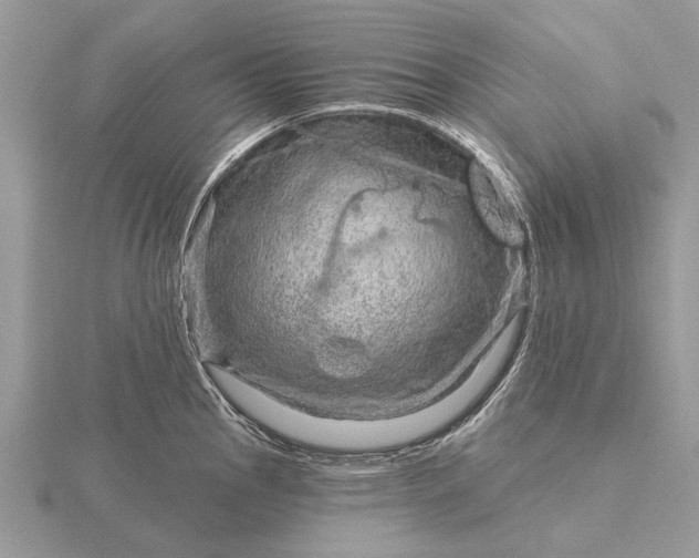 X0000116281145200912141343