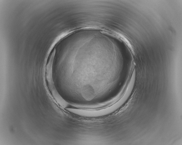 X0000116281146200912141343