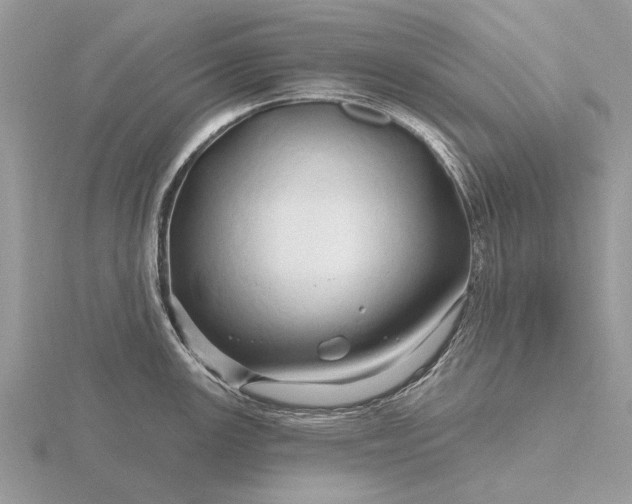 X0000116281147200912141343