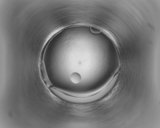 X0000116281149200912141343