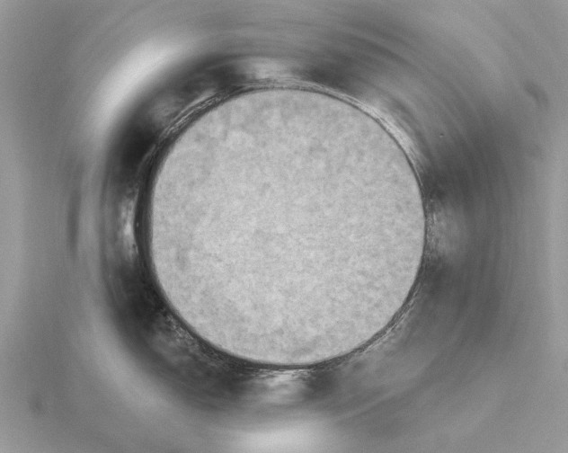 X0000116281150200912141343