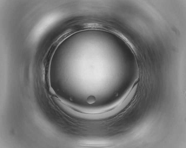 X0000116281151200912141343