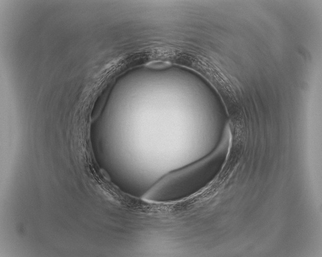 X0000116281153200912141343