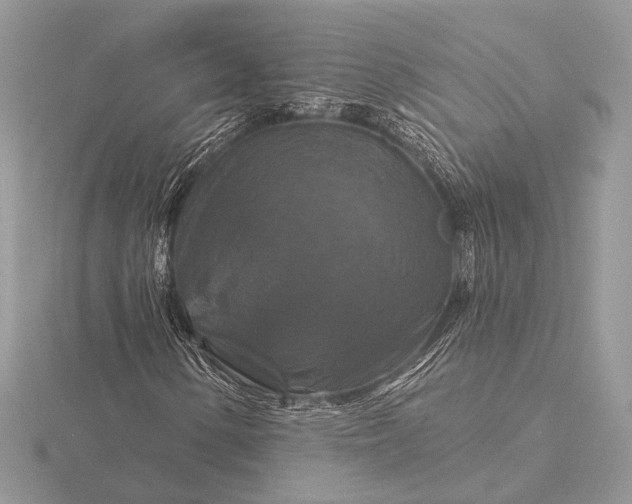 X0000116281154200912141343