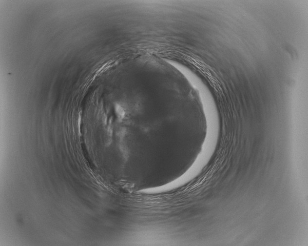 X0000116281155200912141343