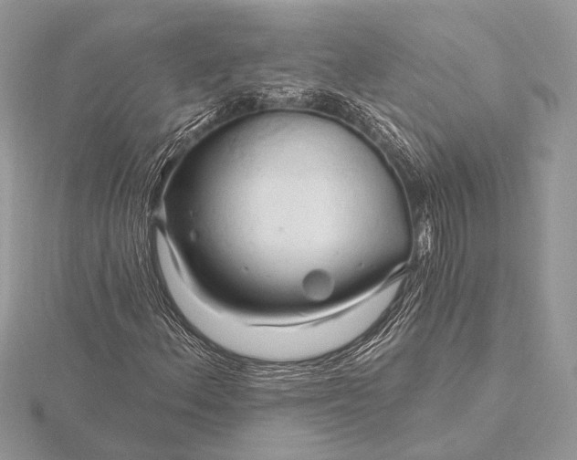 X0000116281156200912141343