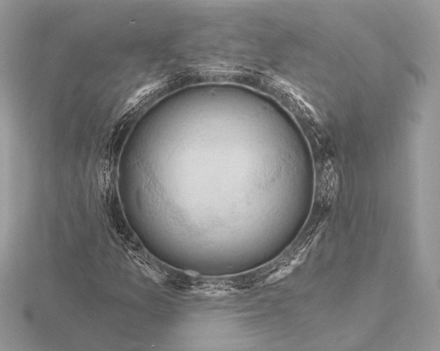 X0000116281157200912141343