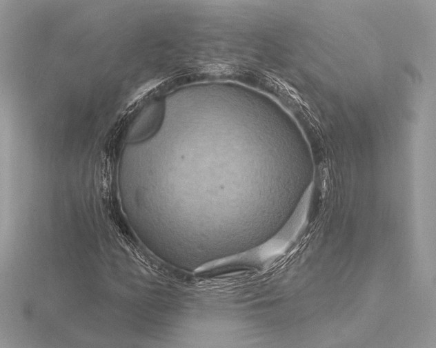 X0000116281158200912141343