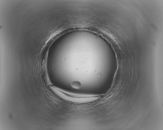 X0000116281160200912141343