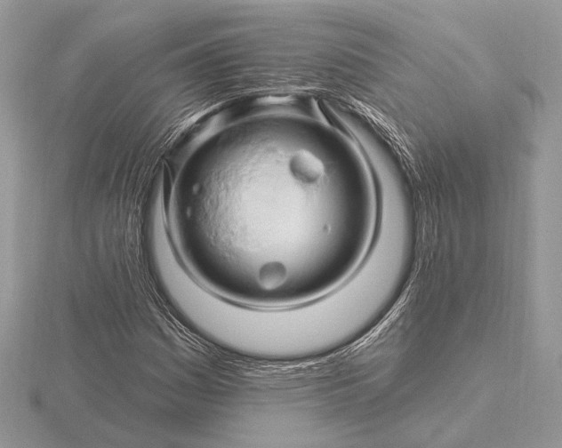 X0000116281161200912141343