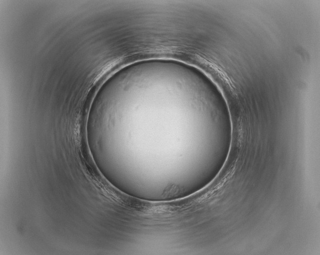 X0000116281162200912141343