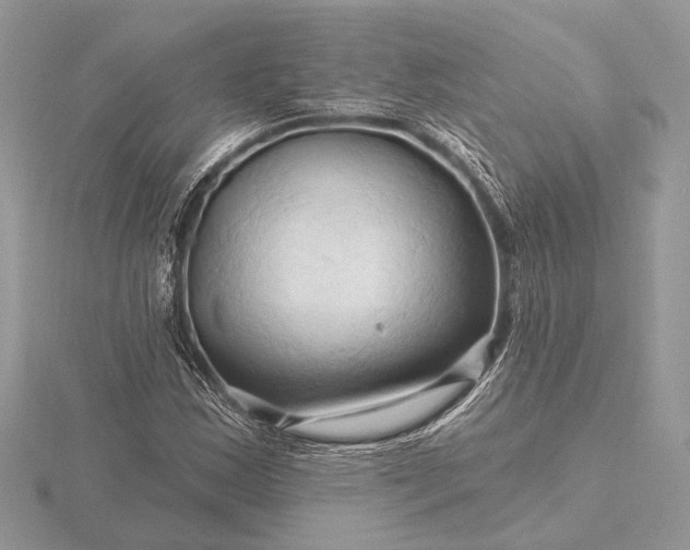 X0000116281163200912141343