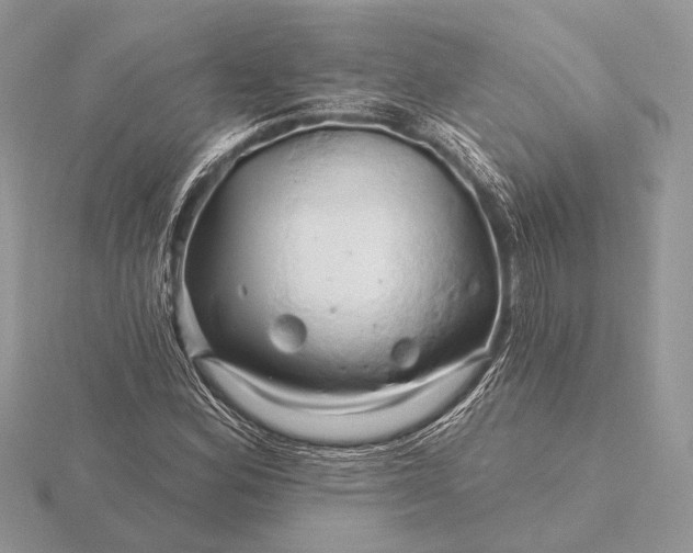 X0000116281164200912141343