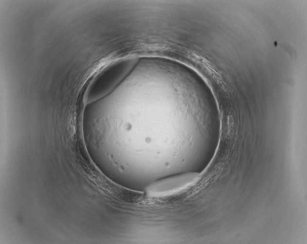 X0000116281165200912141343