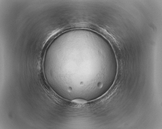 X0000116281166200912141343