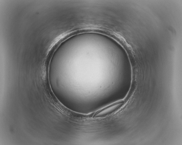 X0000116281167200912141343