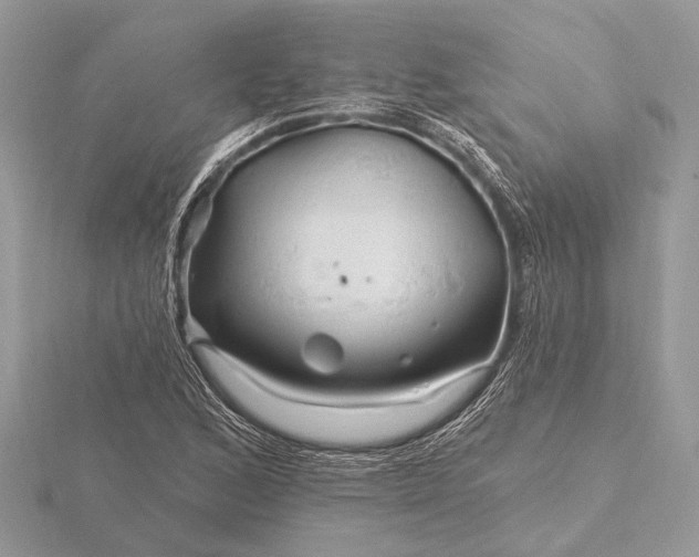 X0000116281168200912141343