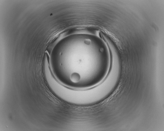 X0000116281169200912141343